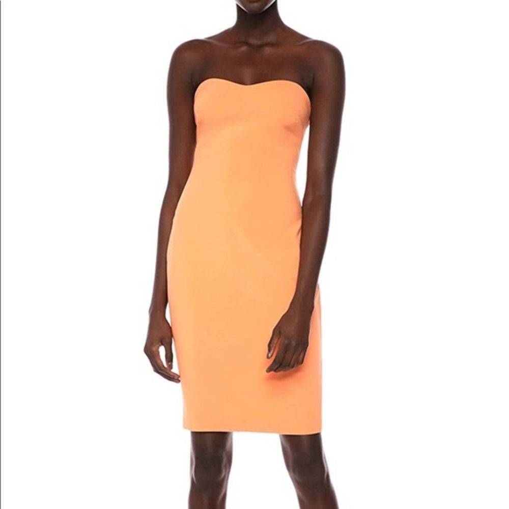 NWT Likely Laurens Dress